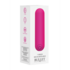 10 Speed Rechargeable Bullet_