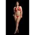 Snow Angel Lace Lingerie Set - Plus Size_