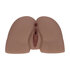 Bodyforms - Kaya Bloom - Dubbele Ingang Vibrerende Masturbator - 2,4 kg / 5,4 lbs - Bruin_
